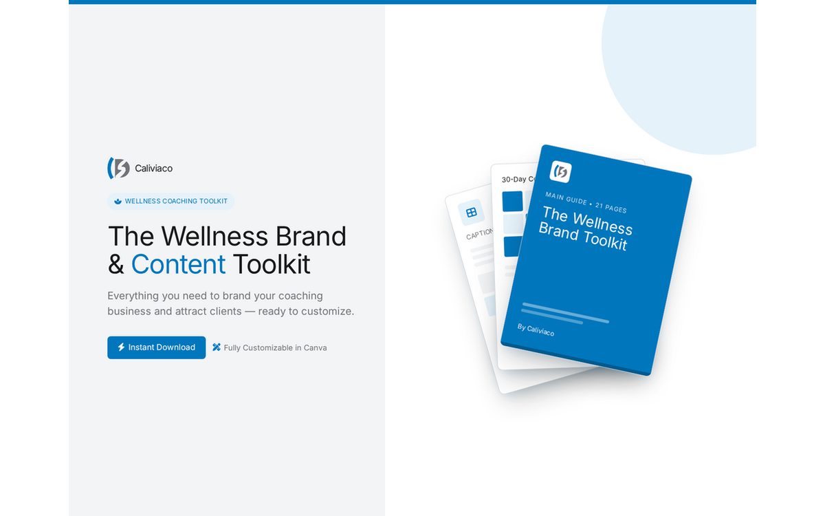 Cover of The Wellness Brand and Content Toolkit